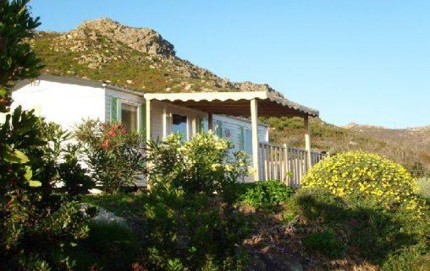 Location de vacances - Bungalow - Mobilhome à Saint-Florent - MH 5