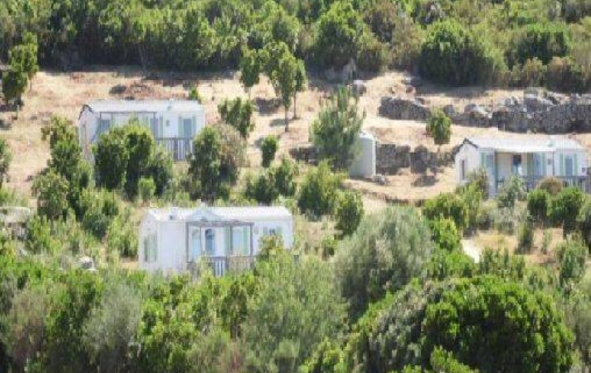 Location de vacances - Bungalow - Mobilhome à Saint-Florent - Vue d'ensemble