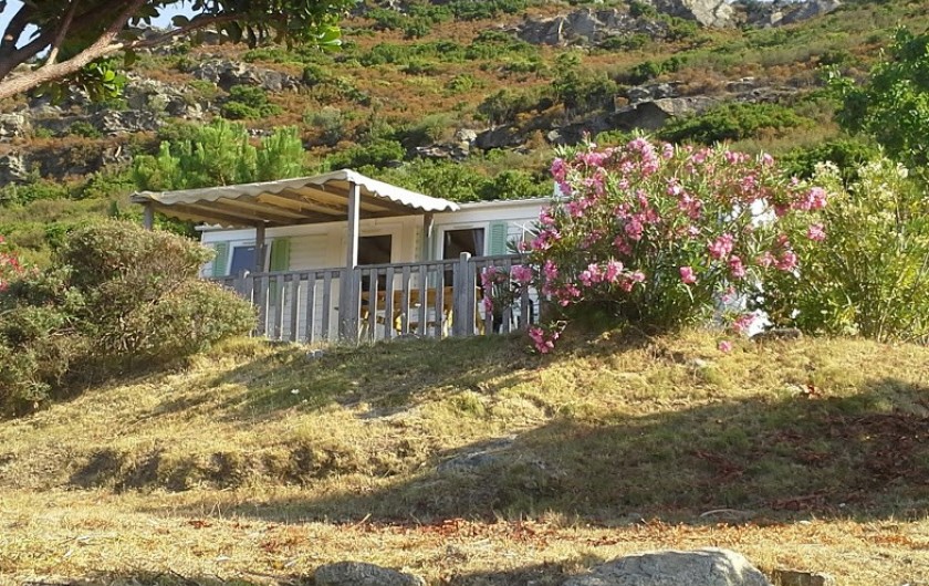 Location de vacances - Bungalow - Mobilhome à Saint-Florent - MH 3 en haut de la colline