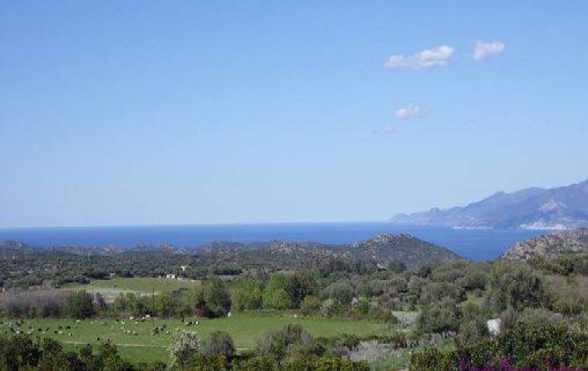 Location de vacances - Bungalow - Mobilhome à Saint-Florent - Vue sur la mer et Cap Corse depuis les MH