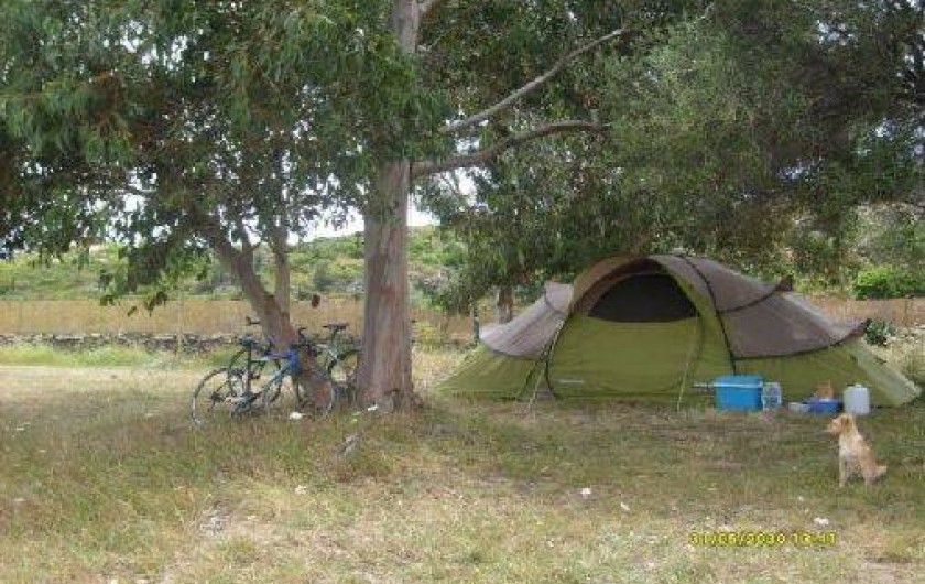Location de vacances - Bungalow - Mobilhome à Saint-Florent - Camping possible (en tente ou van)
