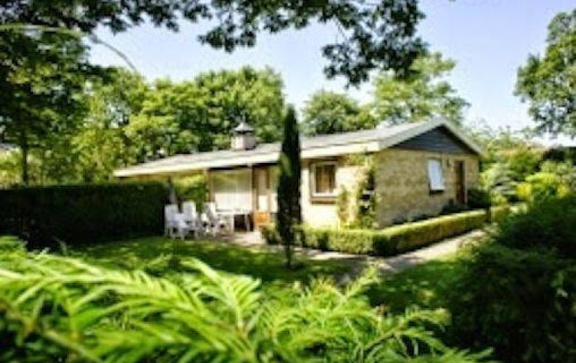 Location de vacances - Bungalow - Mobilhome à Dombourg - Bungalow: beaucoup de soleil