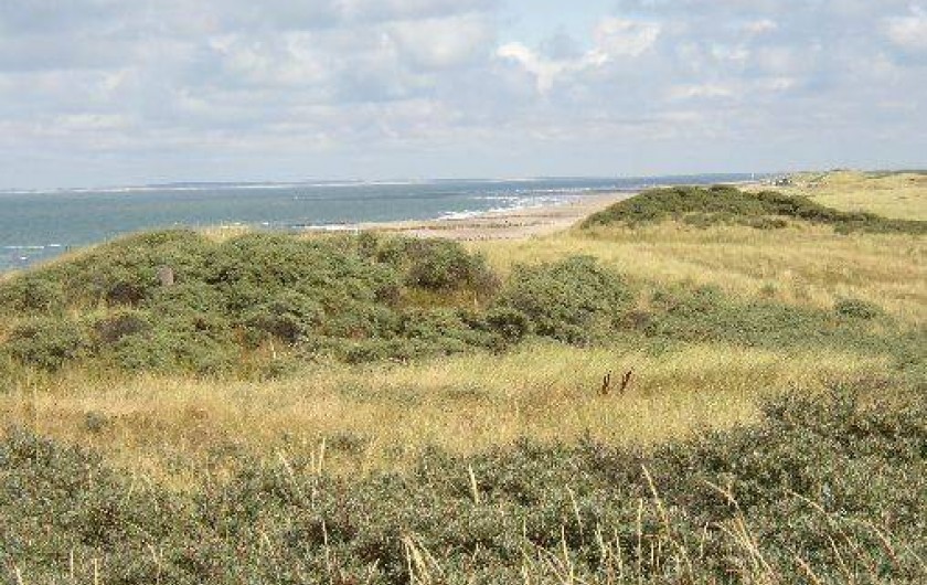 Location de vacances - Bungalow - Mobilhome à Dombourg - Les dunes