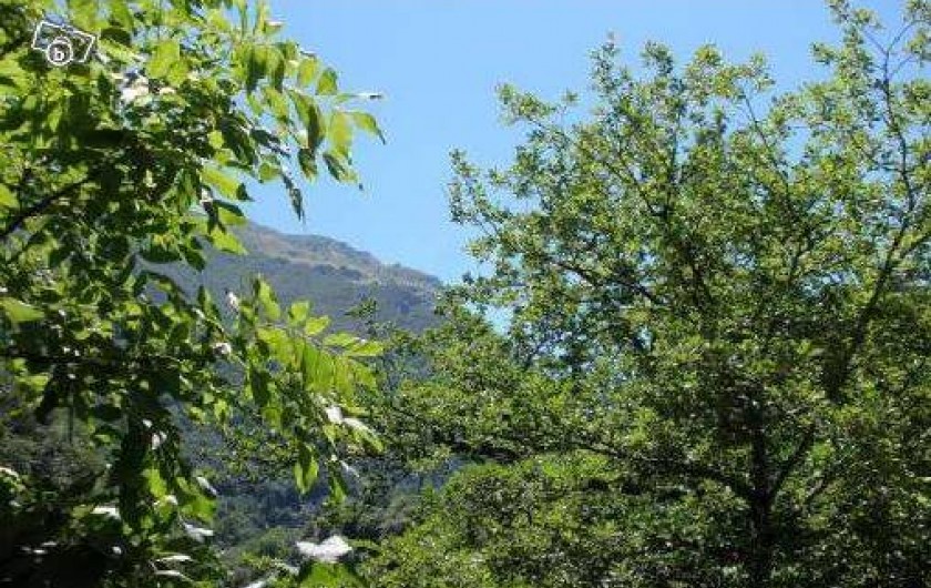 Location de vacances - Appartement à Luz-Saint-Sauveur