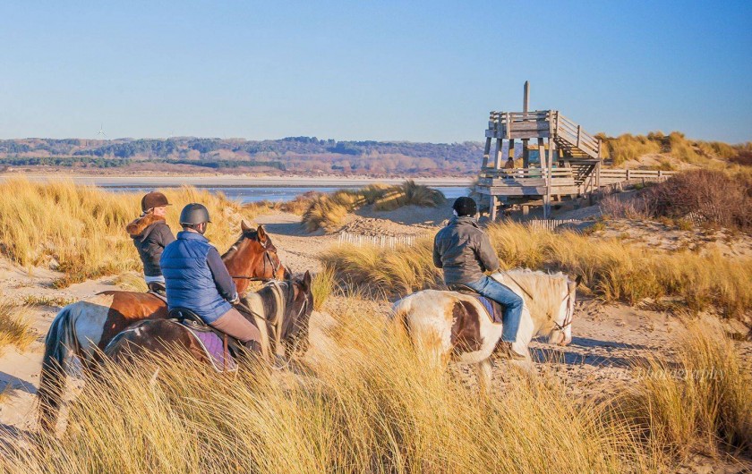 Location de vacances - Appartement à Le Touquet-Paris-Plage