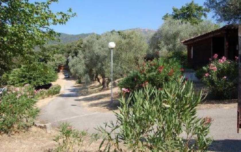 Location de vacances - Gîte à Grosseto-Prugna