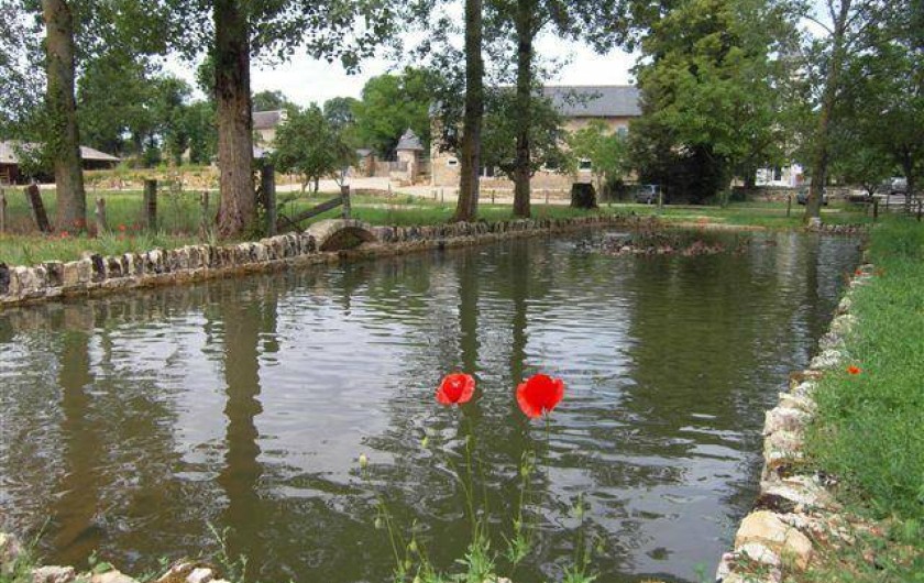 Location de vacances - Gîte à Roussennac - Mare aux canards du Mas