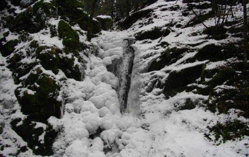 Location de vacances - Chalet à Fresse-sur-Moselle