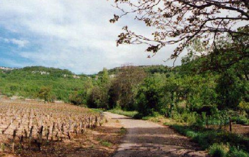 Location de vacances - Gîte à Santenay