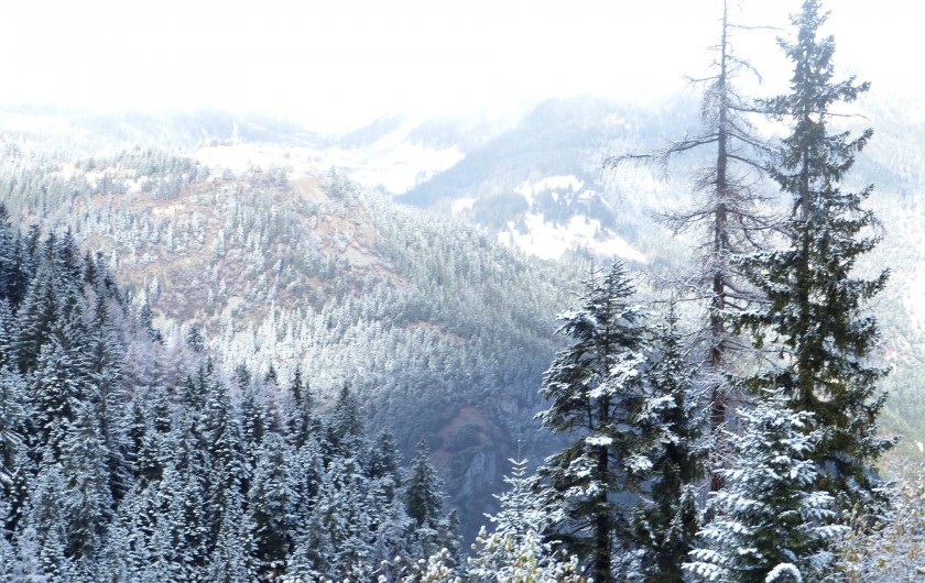 Location de vacances - Studio à Modane