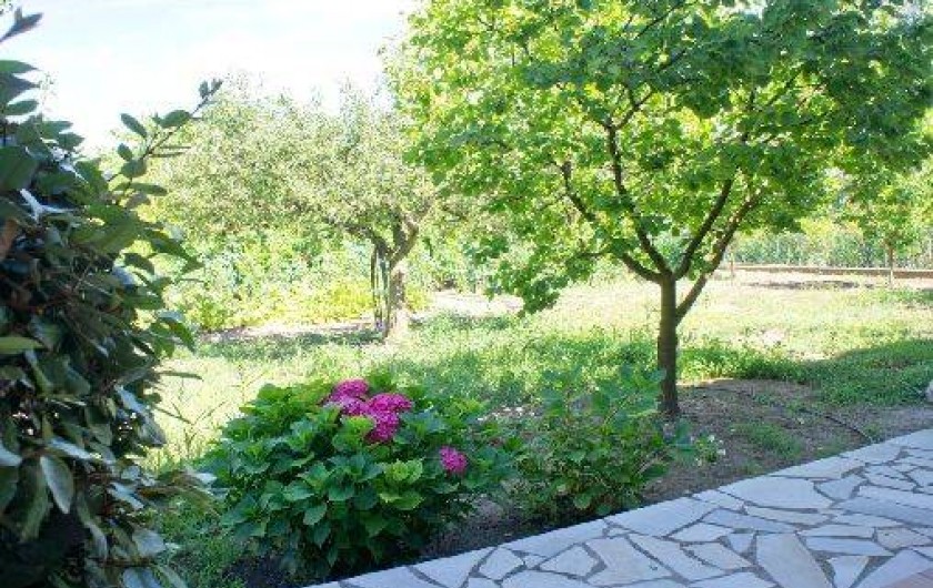 Location de vacances - Appartement à Saint-Raphaël