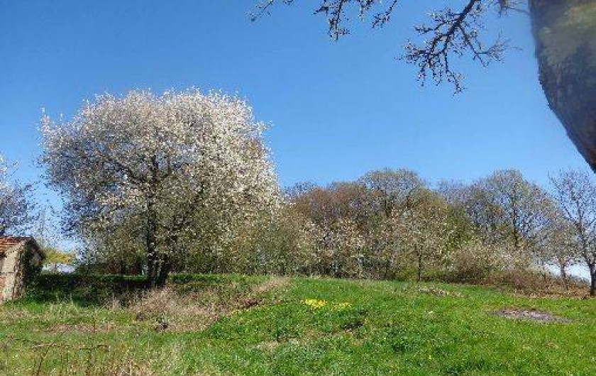 Location de vacances - Gîte à Sépeaux