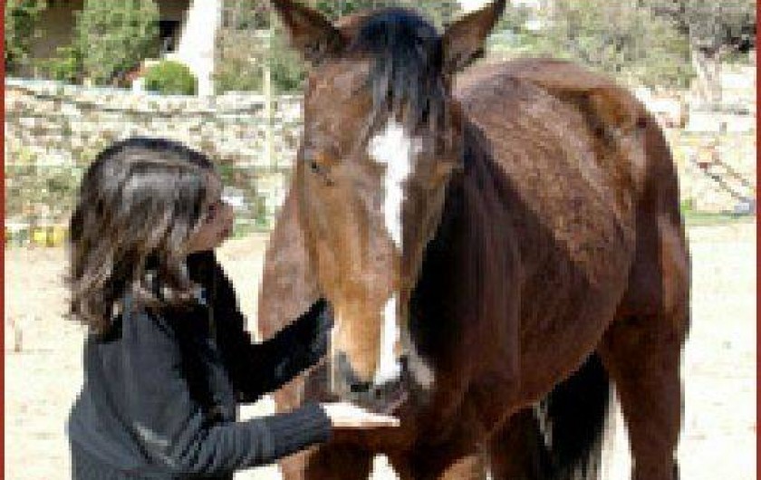 Location de vacances - Gîte à La Cadière-d'Azur