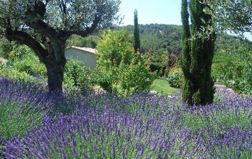 Location de vacances - Gîte à La Cadière-d'Azur