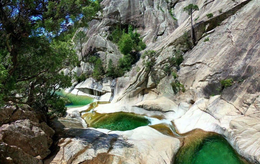 Location de vacances - Villa à Solaro