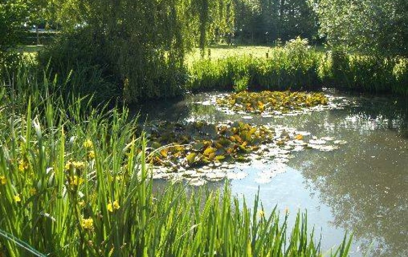 Location de vacances - Gîte à Anglesqueville-l'Esneval