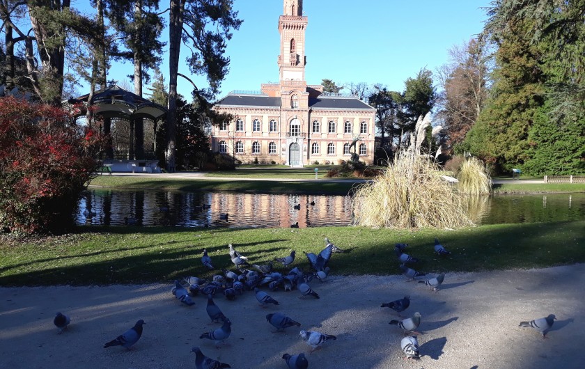 Location de vacances - Gîte à Mascaras