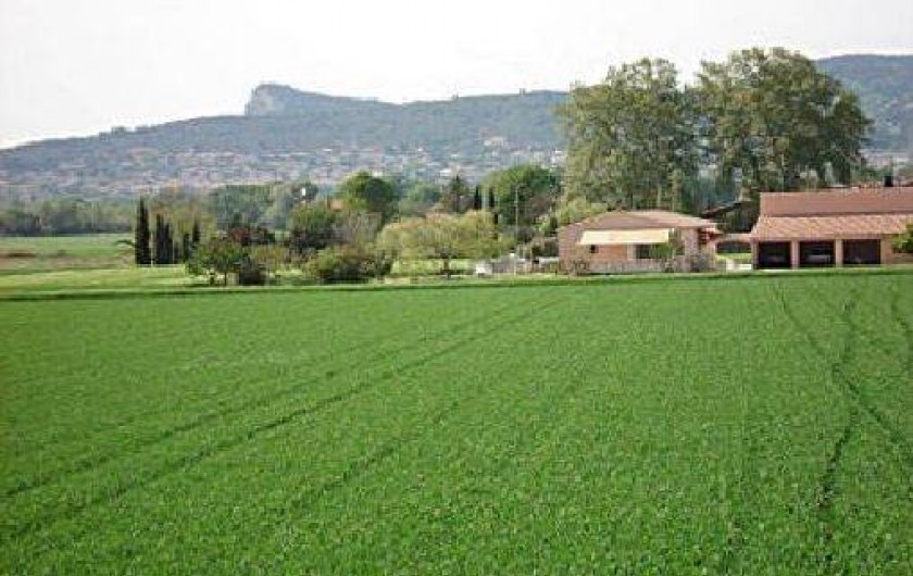 Location de vacances - Villa à Valensole