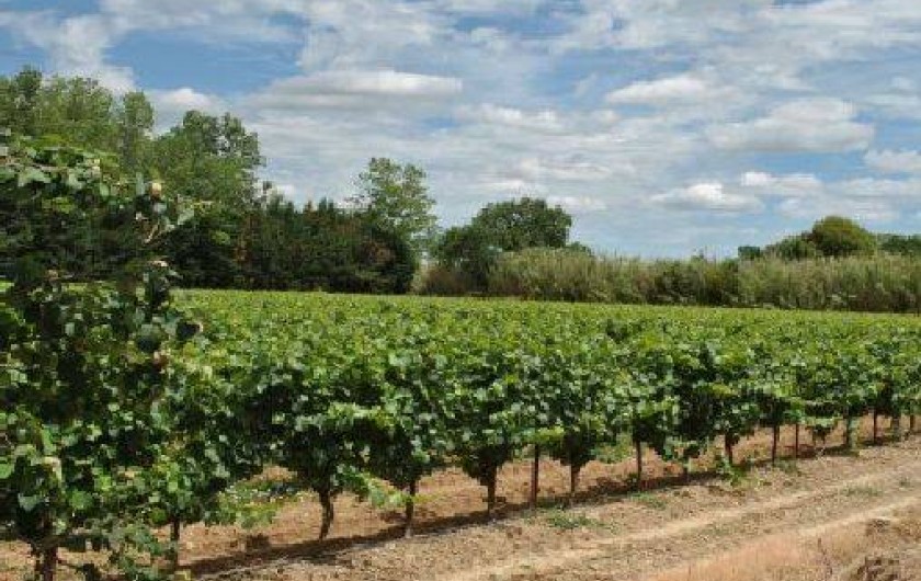 Location de vacances - Gîte à Pézenas