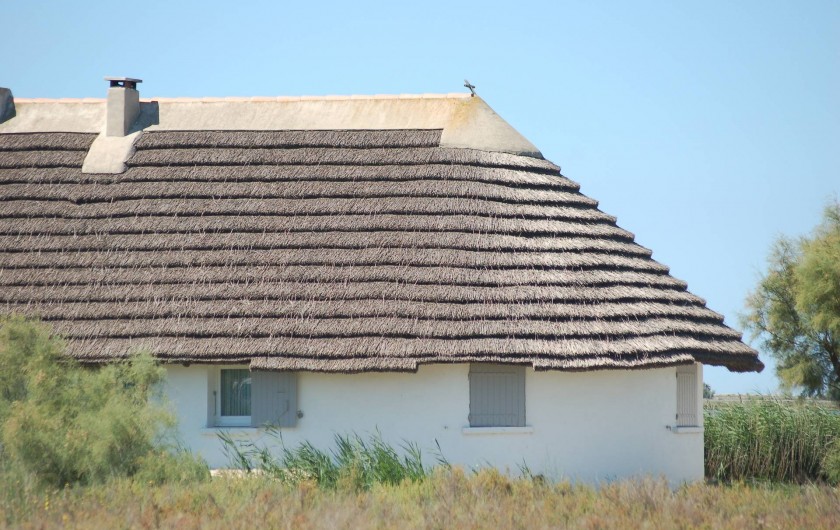 Location de vacances - Gîte à Saintes-Maries-de-la-Mer