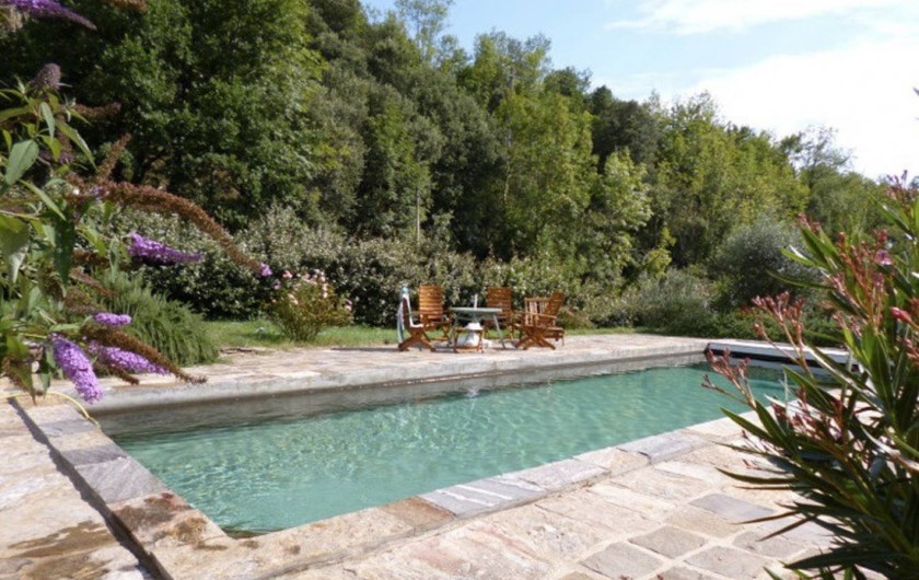 Location de vacances - Gîte à Saint-Vincent-d'Olargues - piscine
