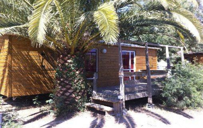 Location de vacances - Camping à Laroque-des-Albères