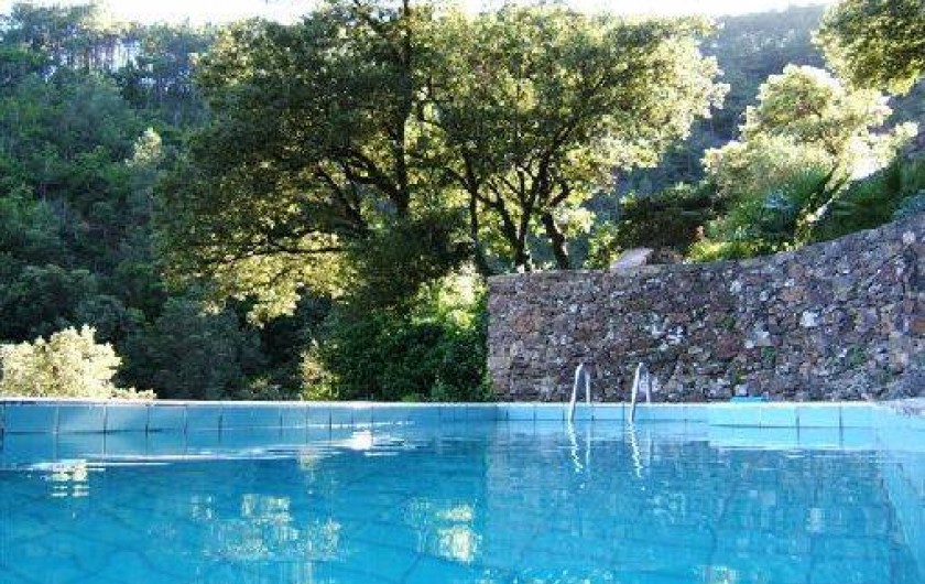 Location de vacances - Gîte à Mialet - La piscine