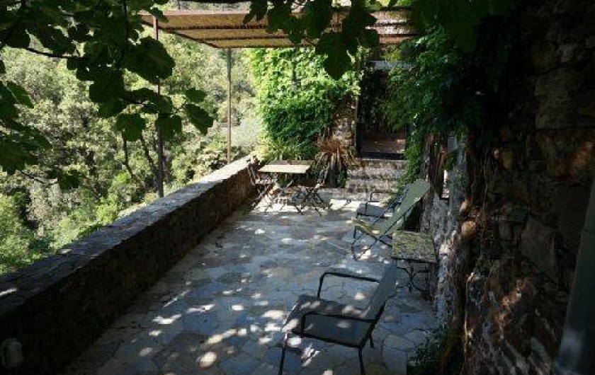 Location de vacances - Gîte à Mialet - Terrasse du gîte du Figuier (4pers.)