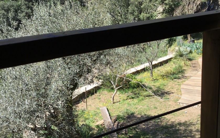 Location de vacances - Gîte à Mialet - vue du jardin ( gîte de l'Olivier)