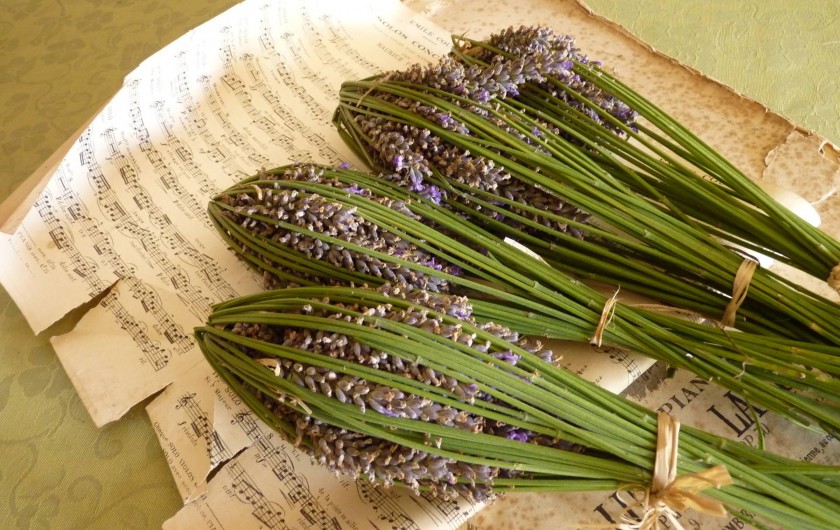 Location de vacances - Studio à Gréoux-les-Bains