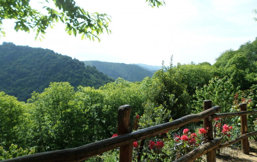 Location de vacances - Gîte à Junhac