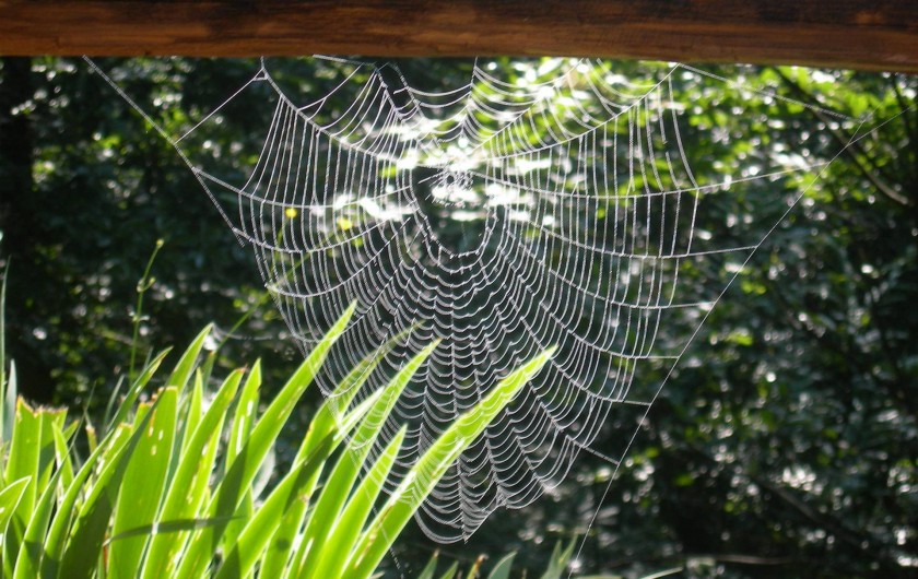 Location de vacances - Gîte à Junhac