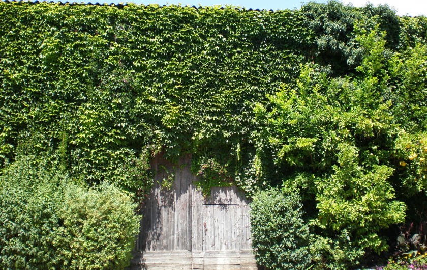 Location de vacances - Gîte à Mirepeisset - Cave