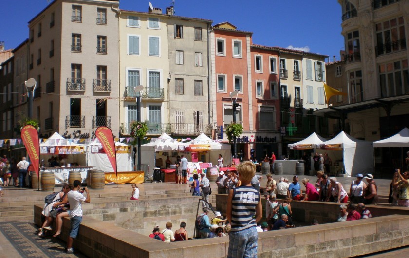 Location de vacances - Gîte à Mirepeisset - Narbonne