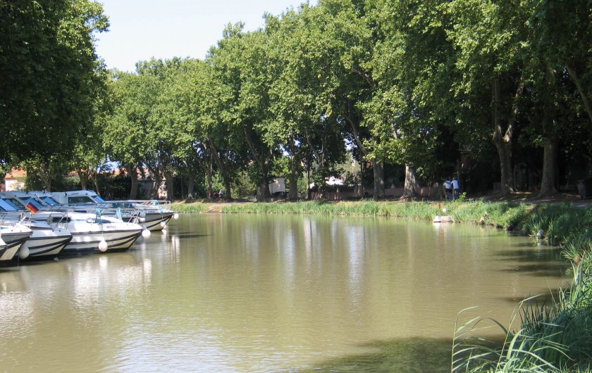 Location de vacances - Gîte à Mirepeisset - Le Somail