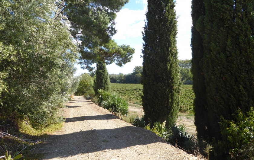 Location de vacances - Gîte à Mirepeisset