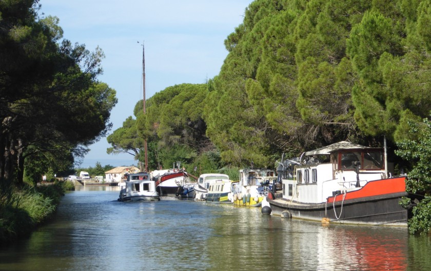 Location de vacances - Gîte à Mirepeisset - Le Canal Du Midi