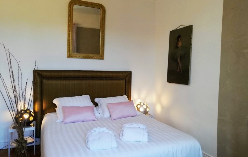 Location de vacances - Chambre d'hôtes à Salies-de-Béarn - Chambre La Beltza