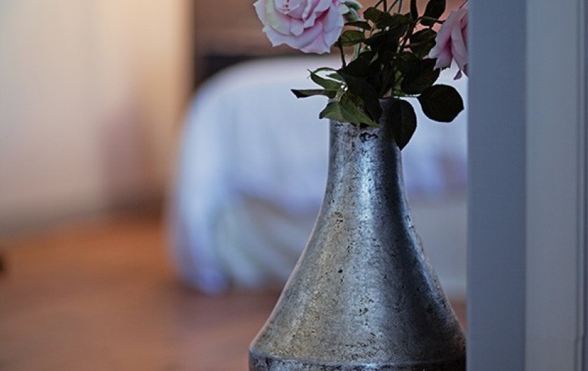 Location de vacances - Chambre d'hôtes à Salies-de-Béarn - la suite ambiance