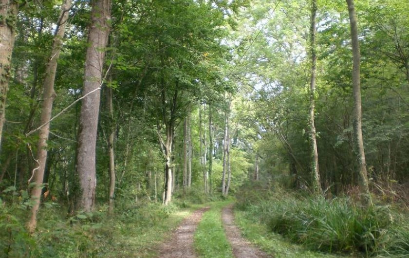 Location de vacances - Gîte à Verlincthun