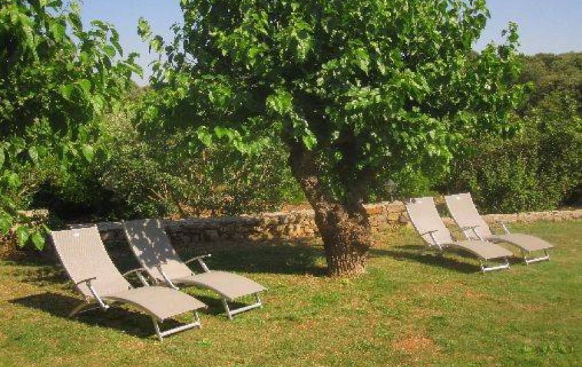 Location de vacances - Chambre d'hôtes à Les Vans - Jardin