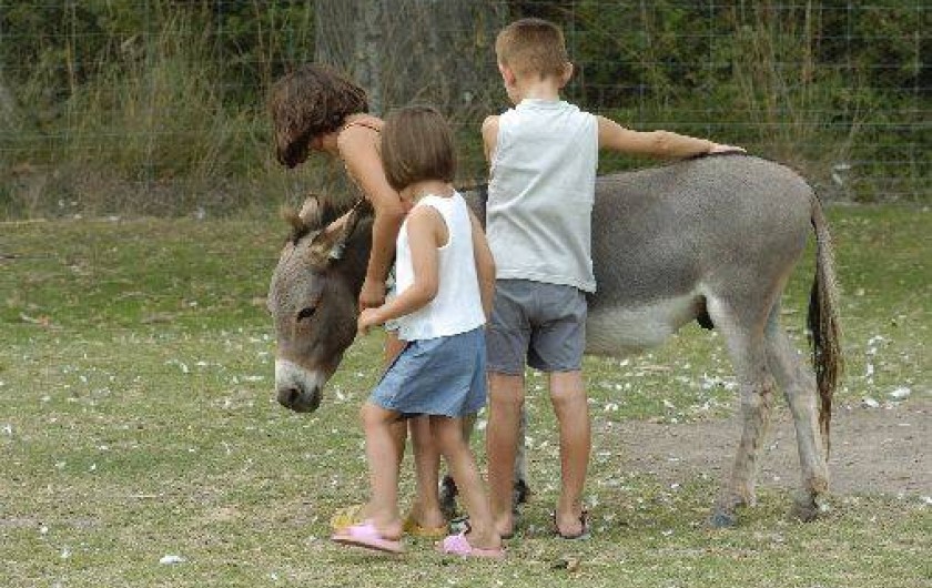 Location de vacances - Camping à Canet-en-Roussillon