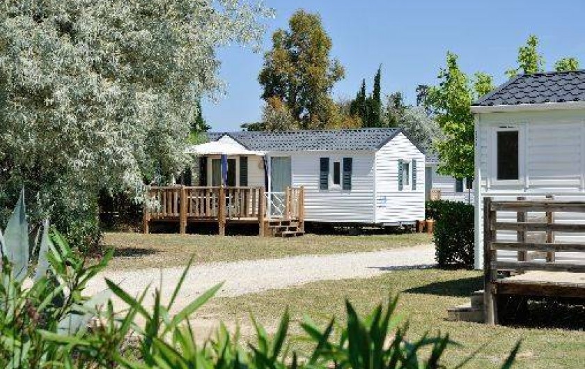 Location de vacances - Camping à Canet-en-Roussillon