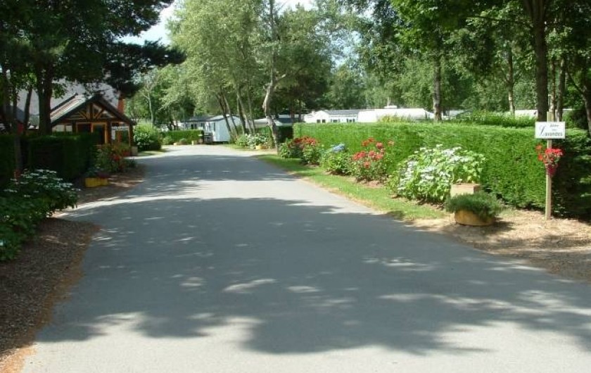 Location de vacances - Bungalow - Mobilhome à Guidel