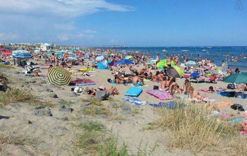 Location de vacances - Studio à Agde