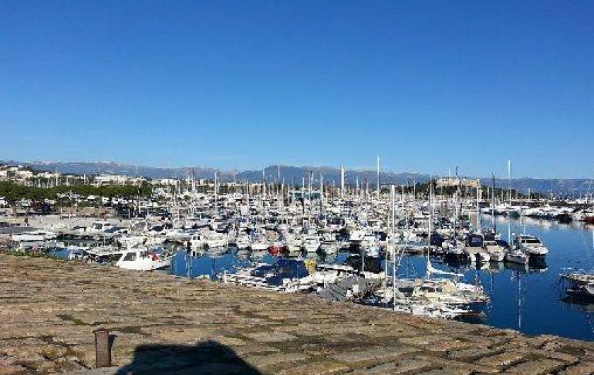 Location de vacances - Studio à Agde