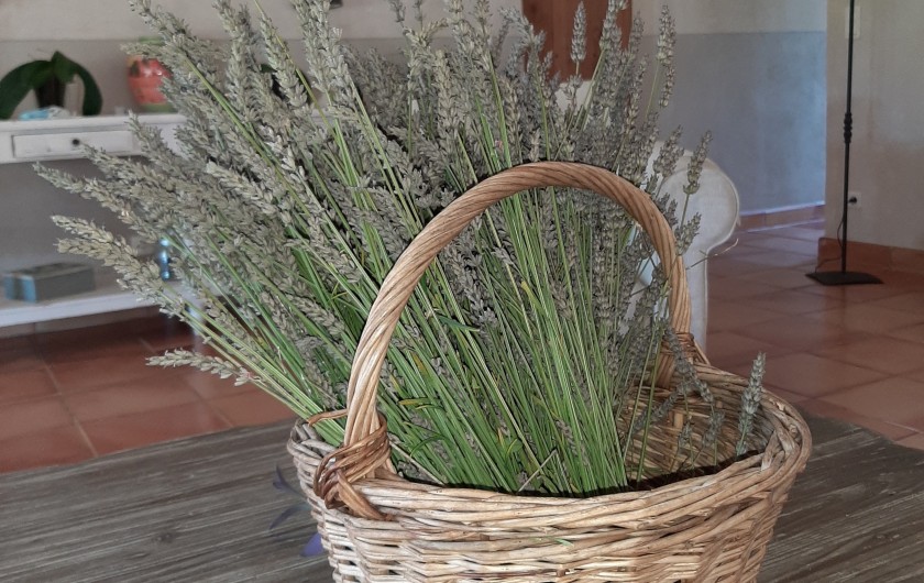 Location de vacances - Villa à Uzès