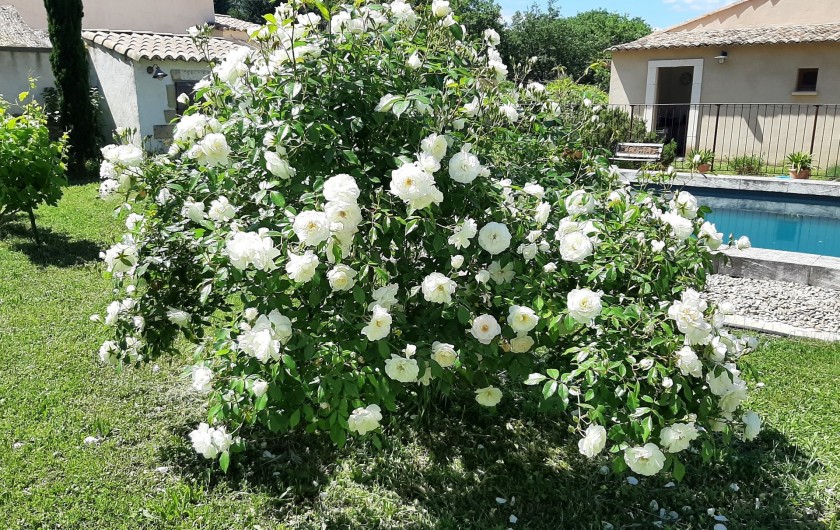 Location de vacances - Villa à Uzès