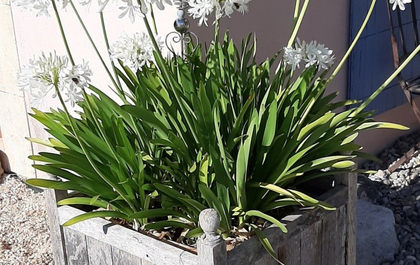 Location de vacances - Villa à Uzès