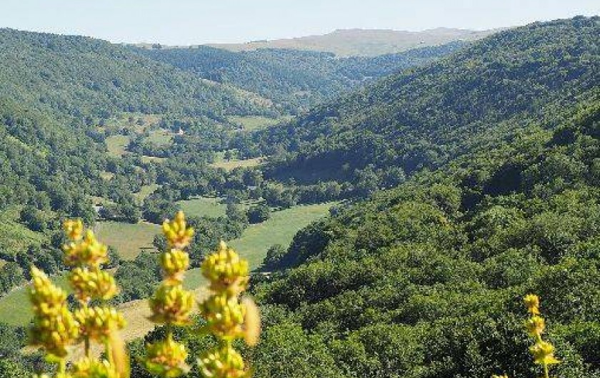 Location de vacances - Maison - Villa à Pailherols